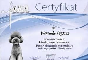 Certyfikat Pielęgnacji w stylu azjatyckim rasy Pudel